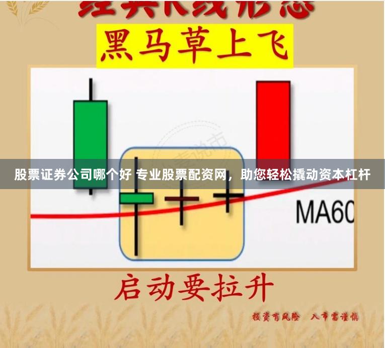 股票证券公司哪个好 专业股票配资网，助您轻松撬动资本杠杆