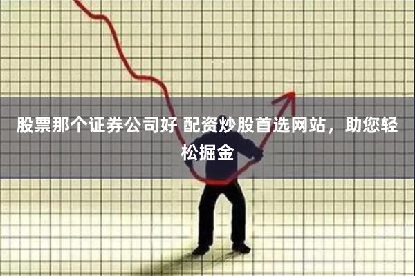 股票那个证券公司好 配资炒股首选网站,助您轻松掘金