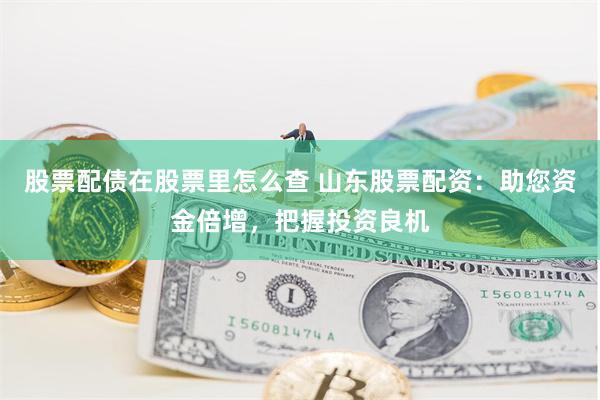 股票配债在股票里怎么查 山东股票配资:助您资金倍增,把握投资良机