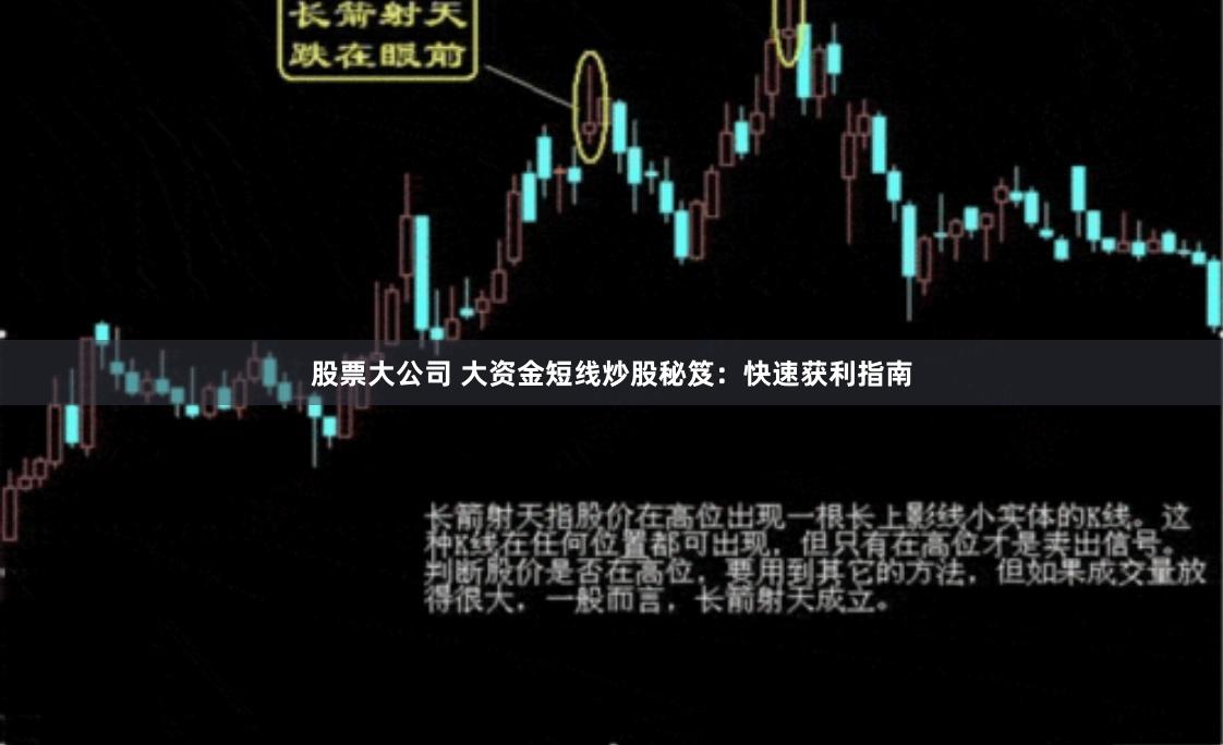 股票大公司 大资金短线炒股秘笈：快速获利指南